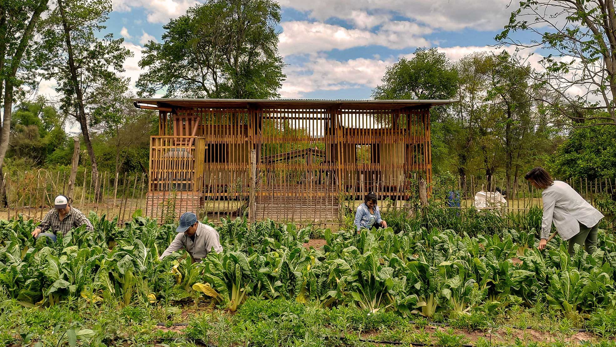 Community Added Value Center image